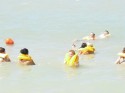 0_4242355_634615.jpg